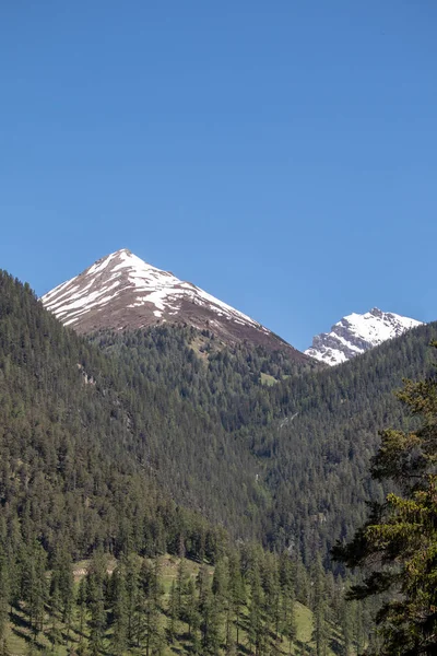 View of snowy mountains behind green wooded mountains at blue sky in swiss alps