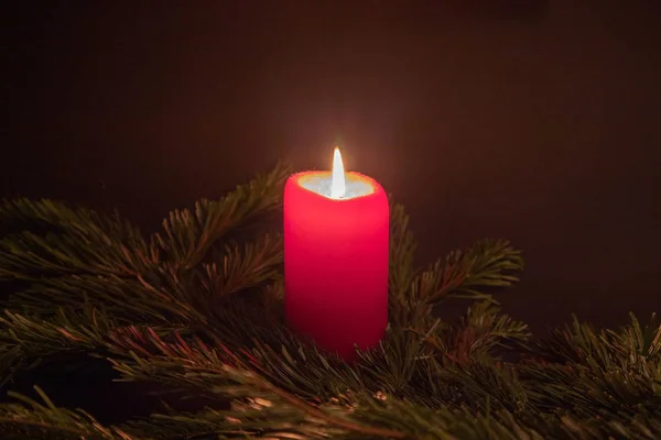 Mum, köknar dalları, noel süslemeleri ve christmassy hamur işleri ile Noel gösterimleri
