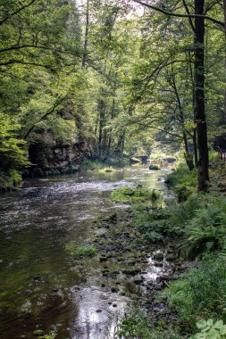 Bohemian İsviçre'deki vahşi Edmunds Gorge'dan manzara
