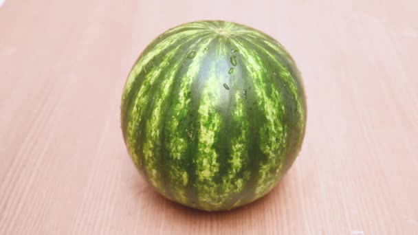 Vatten Som Faller Mini Vattenmelon Träbordet — Stockvideo