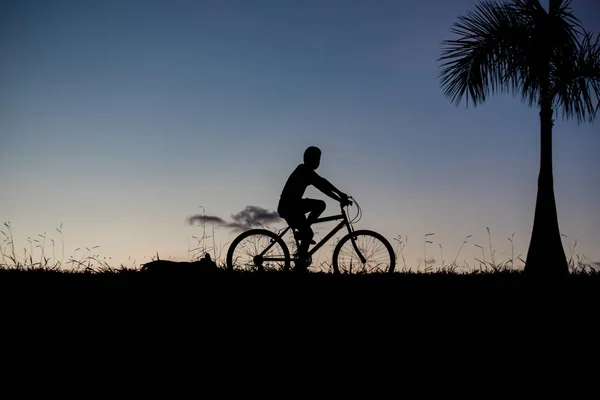 Silhouette of a boy riding a bicycle and a dog - outdoors