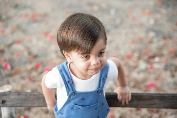 Schattige Baby Jongen Peuter Met Body Met Diertjes Tuin Bank — Stockfoto