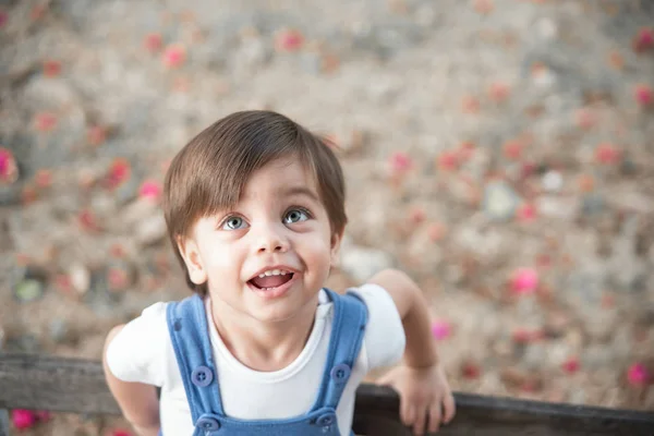 Toddler Chłopiec Cute Baby Romper Ławce Ogrodzie — Zdjęcie stockowe