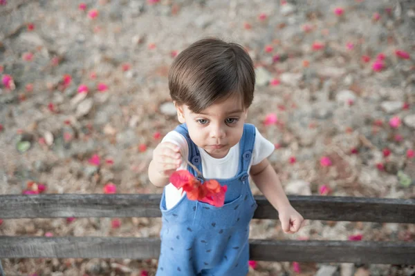 Toddler Chłopiec Cute Baby Romper Ławce Trzymając Kwiat Ogrodzie — Zdjęcie stockowe