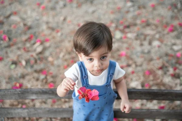 Toddler Chłopiec Cute Baby Romper Ławce Trzymając Kwiat Ogrodzie — Zdjęcie stockowe