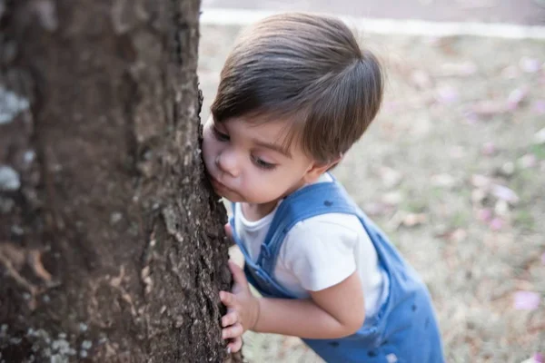 ロンパー 園内のかわいい赤ちゃんの少年幼児を木に抱きしめ — ストック写真