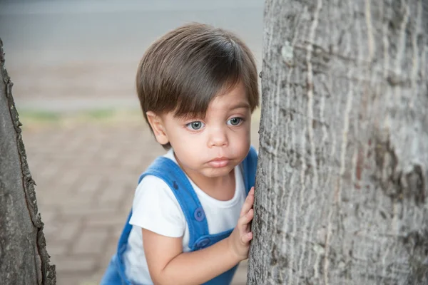 Симпатичний Хлопчик Малюк Романом Саду Обійнятий Дереві — стокове фото