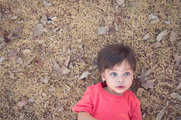 Мила Дитина Хлопчик Лягаючи Суху Траву — стокове фото