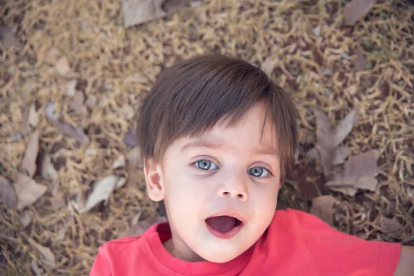 Schattige Baby Jongen Peuter Liggend Droog Gras — Stockfoto