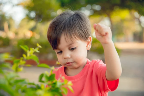 かわいい赤ちゃんの少年幼児 緑の葉の近く — ストック写真