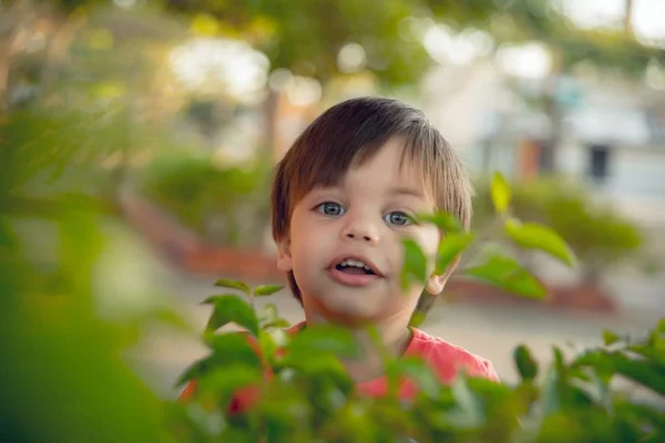 Toddler Chłopiec Cute Baby Pobliżu Zielonych Liści — Zdjęcie stockowe