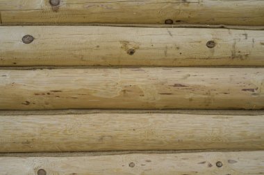 Rustik iç dekor. Duvar ahşap panellerle kaplıdır. Ahşap kaplama.