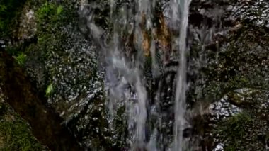 Dağ şelalesi. Bir kaynak. Şelale. İyileştirici su. Su.