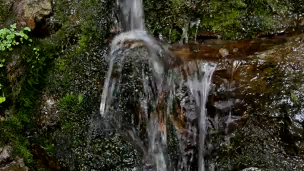 Горный Водопад Источник Водопад Исцеляющая Вода Вода — стоковое видео
