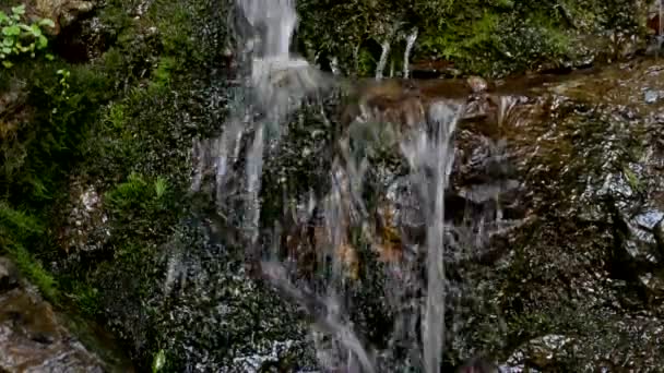 Cascada Montaña Una Fuente Cascada Sanando Agua Agua — Vídeos de Stock