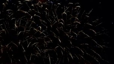 Gece gökyüzüne karşı parlak havai fişekler. Gece gökyüzünde havai fişek.