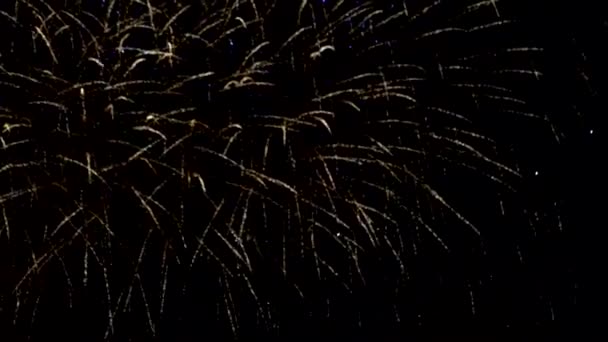 Fuegos Artificiales Brillantes Contra Cielo Nocturno Fuegos Artificiales Cielo Nocturno — Vídeos de Stock