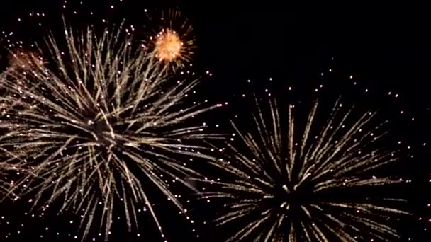 Feux Artifice Lumineux Contre Ciel Nocturne Feux Artifice Dans Ciel — Video