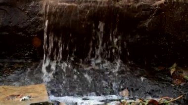 Dağ şelalesi. Bir kaynak. Şelale. İyileştirici su. Su. Altın sonbahar.