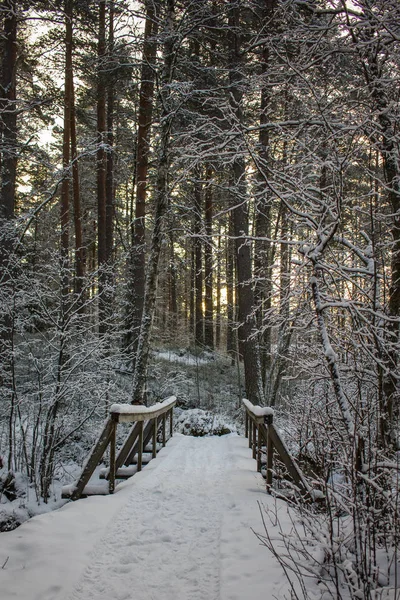 Liten Träbro Täckt Med Och Snö — Stockfoto