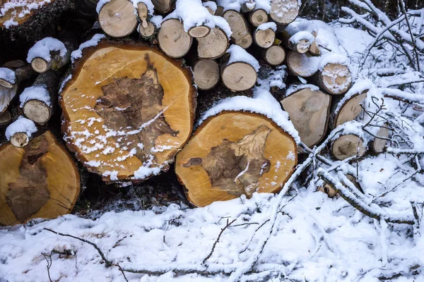 Деревянная Куча Покрытая Снегом — стоковое фото