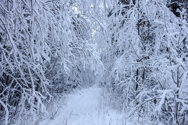 winter with many snow in a little Swedish village