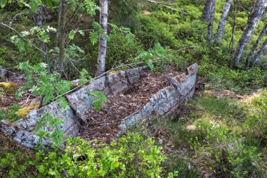 Eski, bozuk bir ahşap tekne yosun bir çim kaplı.
