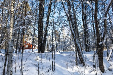 Güneşli bir winterday küçük bir İsveç köy adımlarında bir gezinti 