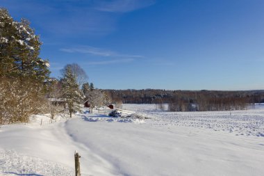 Güneşli bir winterday küçük bir İsveç köy adımlarında bir gezinti 