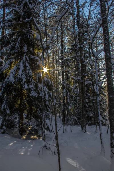 Spacer Małym Miasteczku Szwedzki Słonecznej Winterday — Zdjęcie stockowe