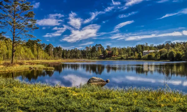 Incrível dia de verão perto por um pequeno lago na Suécia — Fotografia de Stock