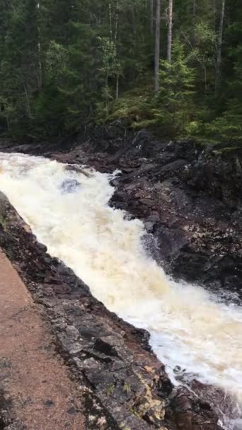 Spectaculaire Waterval Centraal Zweden — Stockvideo