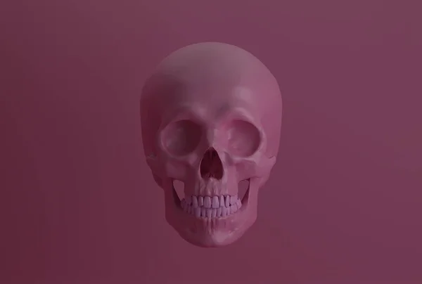 Human Pink Skull Pink Background Front View Render — Stock Photo, Image