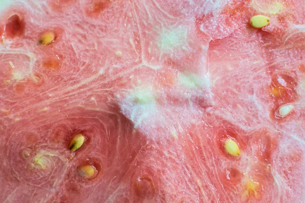 Onrijpe Watermeloen Slice Close Met Witte Zaden — Stockfoto