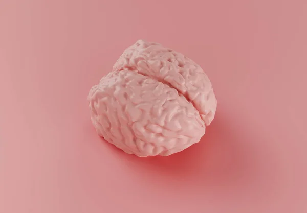 Menschliches Rosafarbenes Hirnmodell Auf Rosa Hintergrund Minimales Konzept Illustration — Stockfoto