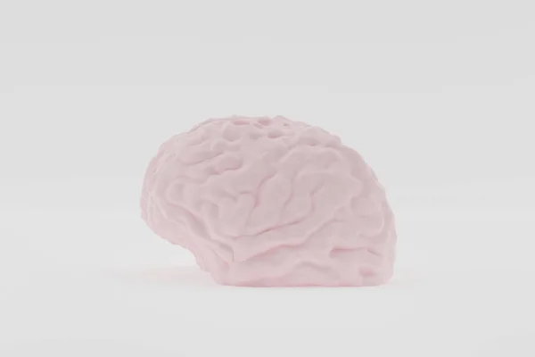 Modèle de cerveau humain léger de profil sur fond blanc, rendu 3d — Photo