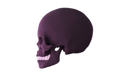 Koyu kafatası profili, beyaz üzerine izole edilmiş, 3 boyutlu görüntüleme