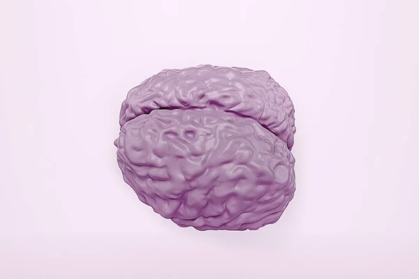 Modello Cervello Umano Sfondo Chiaro Illustrazione — Foto Stock