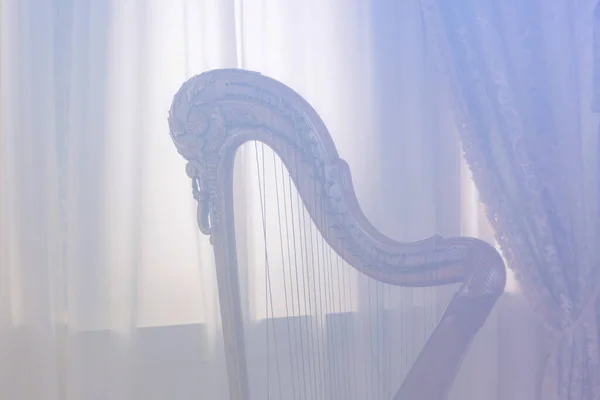 Uma Bela Harpa Romântica Foto Tonificada Foco Suave — Fotografia de Stock
