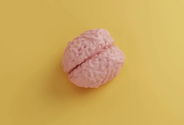 Model otak merah muda manusia pada latar belakang kuning, konsep minimal, ilustrasi 3d — Stok Foto