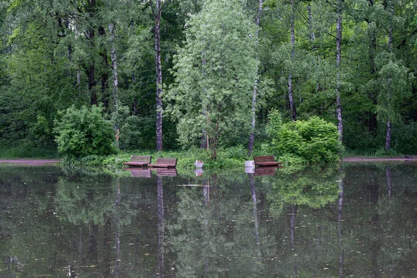 Moskova Rusya Haziran 2020 Gölet Taştı Sokolniki Parkındaki Park Banklarını — Stok fotoğraf