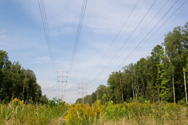 Enerji dağıtımı yüksek voltajlı elektrik hattı kablolar ve ağaçlarla dolu kule manzarası