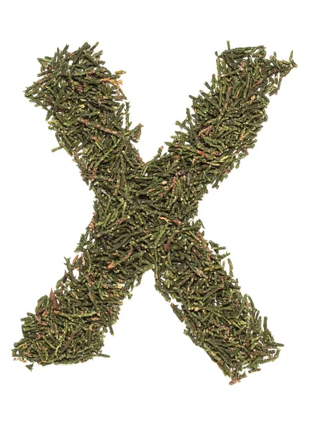 Big english capital letter X made of green fir/spruce tree leafs on white isolated background. Isolated Latin letter cut out.