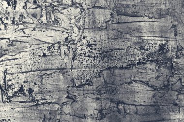 siyah-beyaz doku arka plan