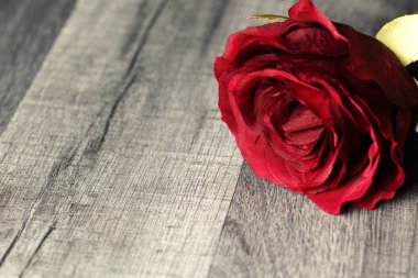 Çiçek arka plan. Kopya alanı ahşap arka plan üzerinde kırmızı gül çiçek