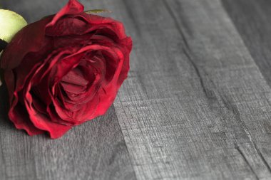 Çiçek arka plan. Kopya alanı ahşap arka plan üzerinde kırmızı gül çiçek