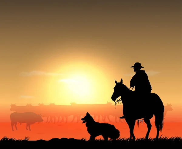 Cowboy avec troupeau — Image vectorielle