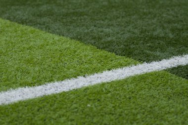 suni çim yeşil alan