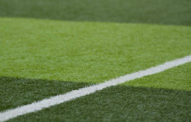 suni çim yeşil alan