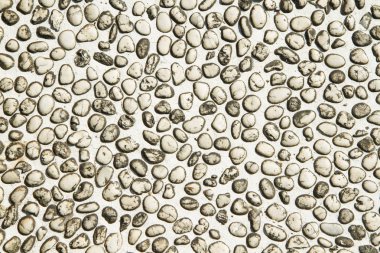 Taş zemin dokusu veya arka plan